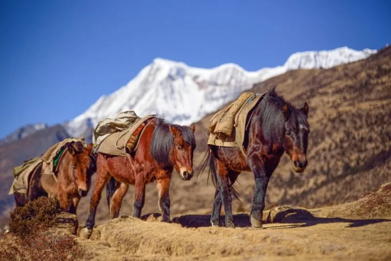 Offbeat Places To Visit in Bhutan : A Buddhist Kingdom In The Himalayas