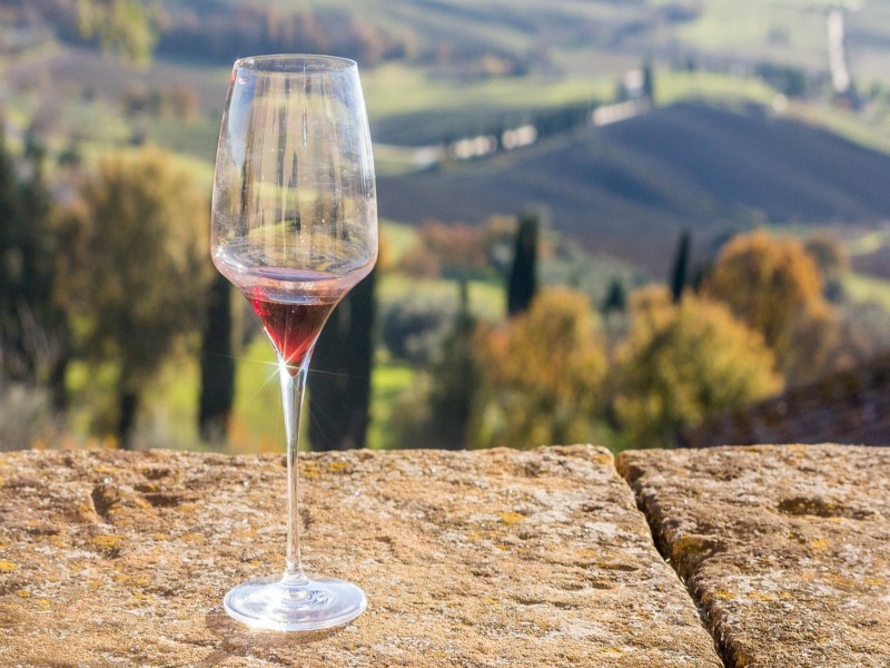 wine-glass-overlooking-vineyard
