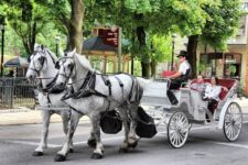 royal carriages New Orleans