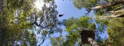Tsitsikamma Canopy Tour (Zipline & Bungee Combo) 2024