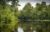 Cajun Pride Swamp Tours (Best Louisiana Alligator Tours) 2022