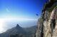 10 BEST Safari Tours Near Cape Town (Full-Day & Overnight)
