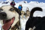 Alaska Helicopter and Glacier Dogsled Tour