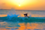 Best Time To Visit Aruba –Sunshine, Nightlife and Surfing