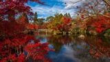 Autumn in Japan | Spectacular Destinations and Activities