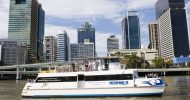 Brisbane River Cruise and Koala Sanctuary Visit