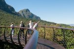 Cape Peninsula Tour from Cape Town