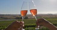 Cape Town: Full-Day Shared Wine Tasting Tour