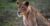 Botswana Safari Tours | Best Safari Adventures 2022