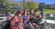 Constantia Wine Tasting Tour from Cape Town