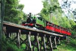 Dandenong Ranges Tour by Puffing Billy Steam Train
