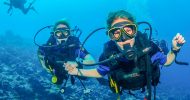 Discover Scuba Diving in Dubai