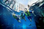 Dubai Atlantis Ultimate Snorkel Experience