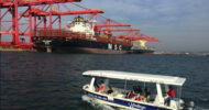 Durban: 1-Hour Harbor Boat Cruise