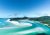 Flights to Airlie Beach & Other Whitsunday Islands | Scenic Tours & More