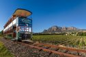 Full-Day Franschhoek Valley Guided Wine Tour including Wine Tram from Cape Town