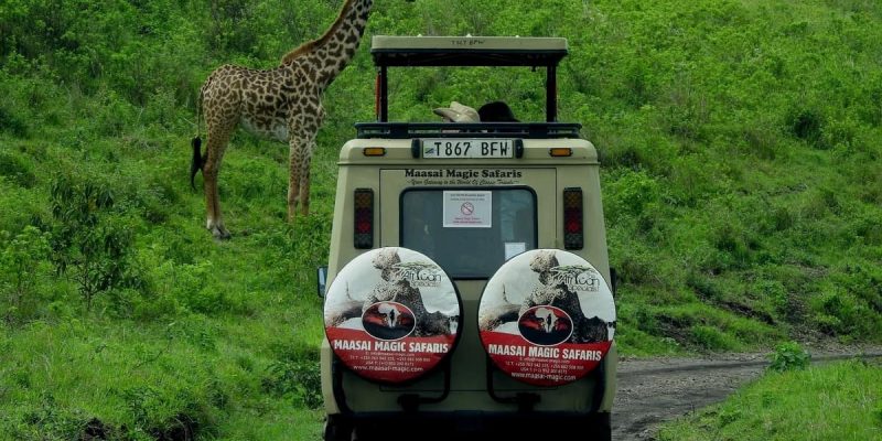 Best African Safaris – Trips, Tours & More