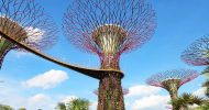 Gardens by the Bay Ticket in Singapore
