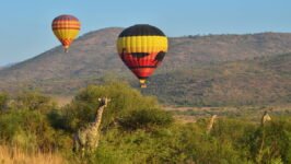 Hot Air Balloon Ride in Johannesburg