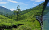 Kandy To Ella Train – Beautiful But OH SO Crowded!