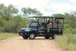 Kruger Park Full-Day Private Safari