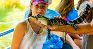 Louisiana Plantation & Swamp Boat Bayou Full-Day Tour Combo