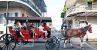 New Orleans: 1-Hour Carriage Ride Through the French Quarter