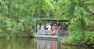 New Orleans: Swamp Tour in National Park and Preserve