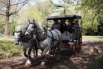 Private GAUCHO TOUR - FULL DAY TRIP Guided in EN,...