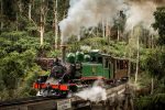 Puffing Billy, Moonlit Sanctuary & Penguins Day Tour