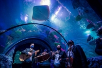 Sea Life Aquarium San Antonio | Best Tickets & Tours