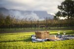 Stellenbosch, Franschhoek and Paarl Wine Tasting Private Tour from Cape...