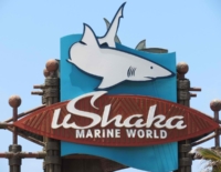 Top uShaka Marine World Activities and Prices 2025