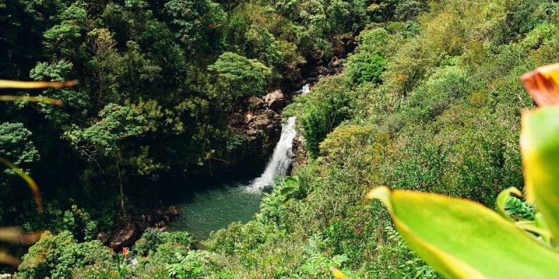 15 Best Maui Family Activities | Things To Do with Kids in 2021