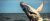 Whale Watching Plettenberg Bay